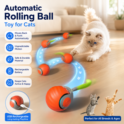 Automatic Rolling Ball Toy for Cats